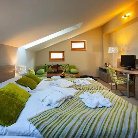 Otel Bystra